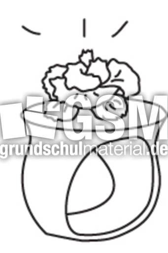 Ringe 2.jpg